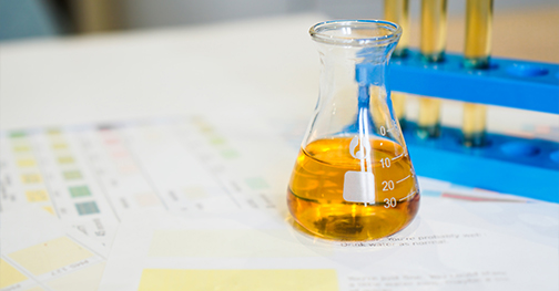 Continua R&D and New Product Socius Services